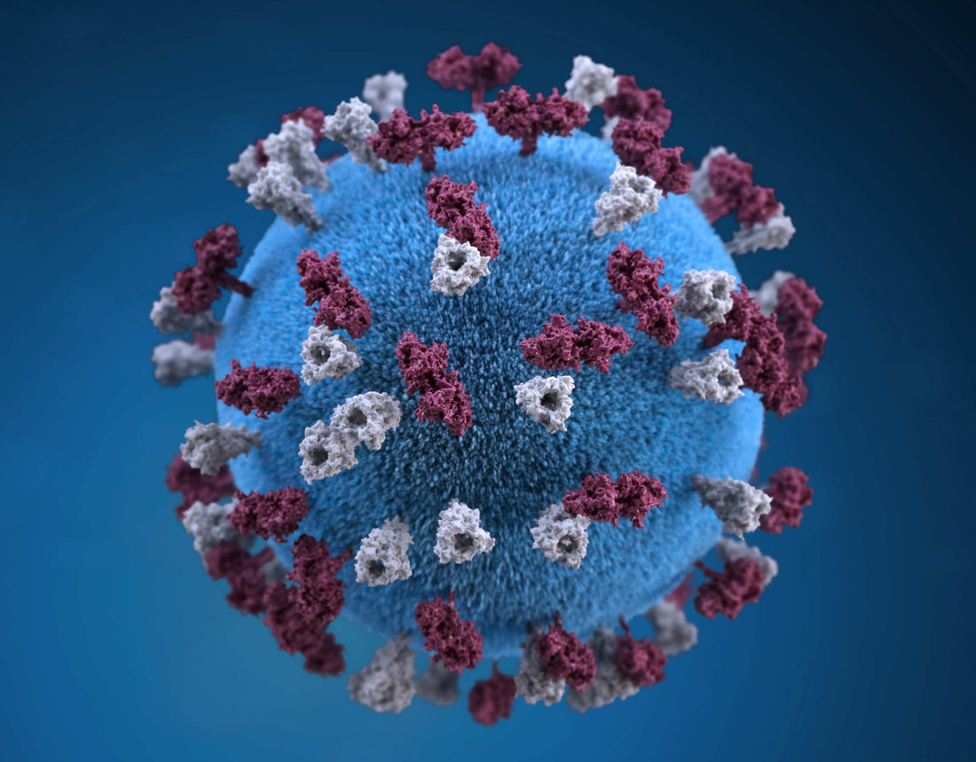 COVID-19 virus