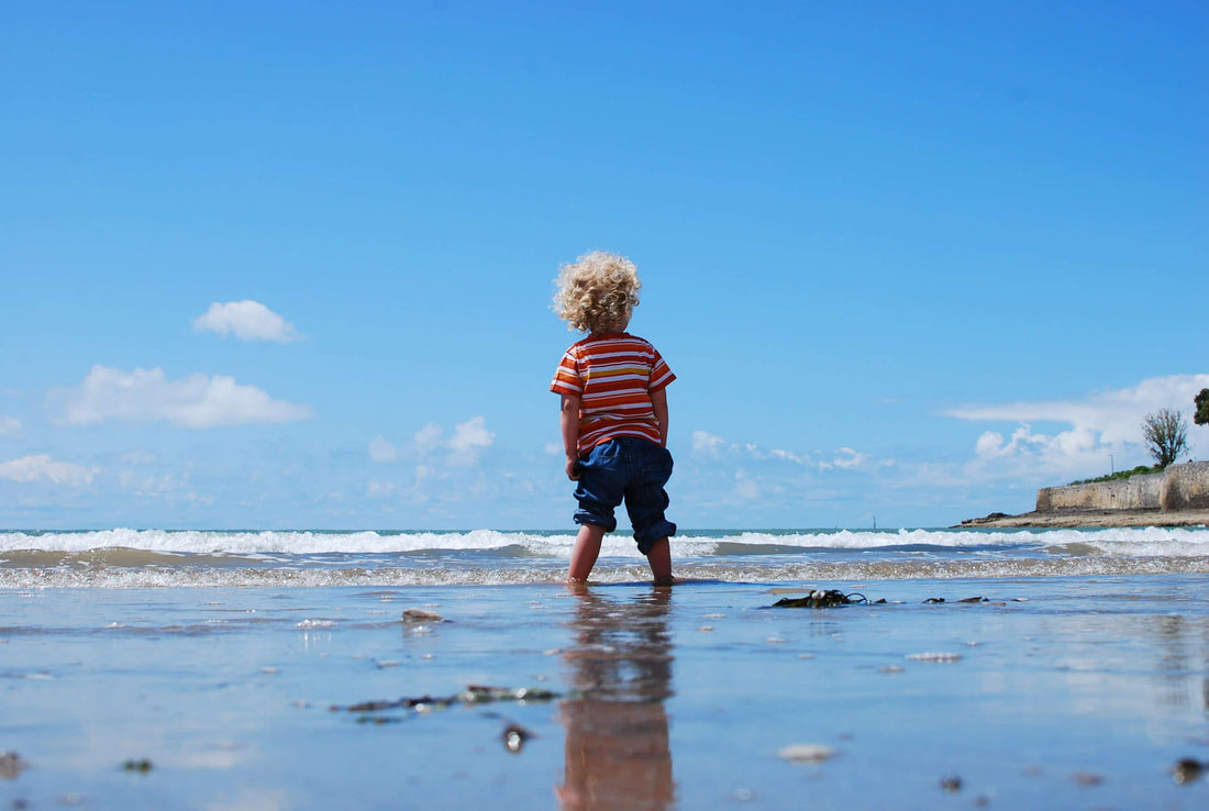 Toilet Training Your Toddler